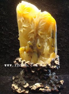 ������֪��