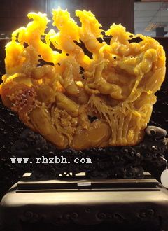 ������˿���