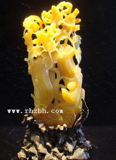 ��������벶��