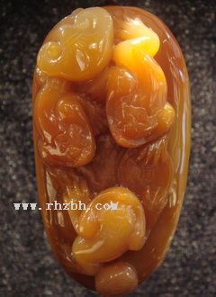 ����������Ͳ�